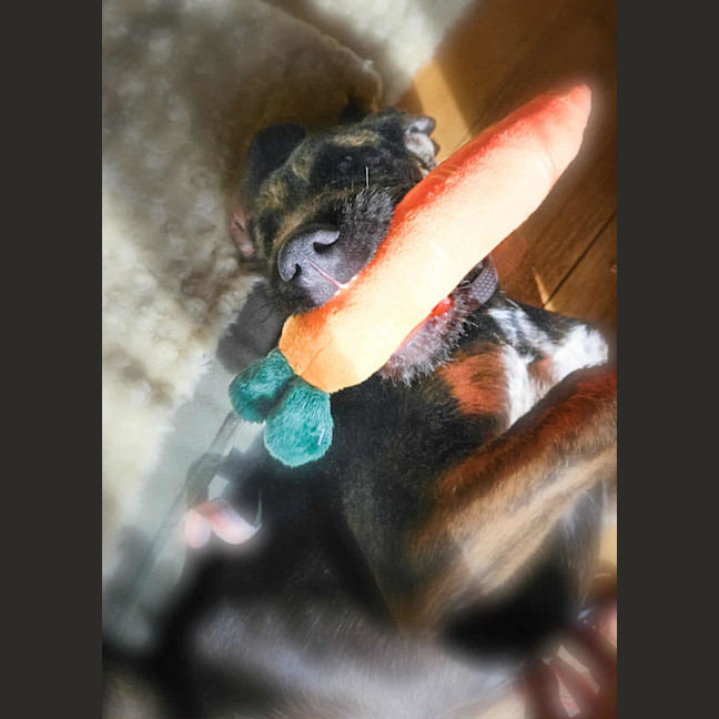 Photo of Paris Monet 