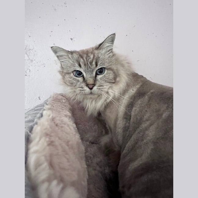 Photo of Riley