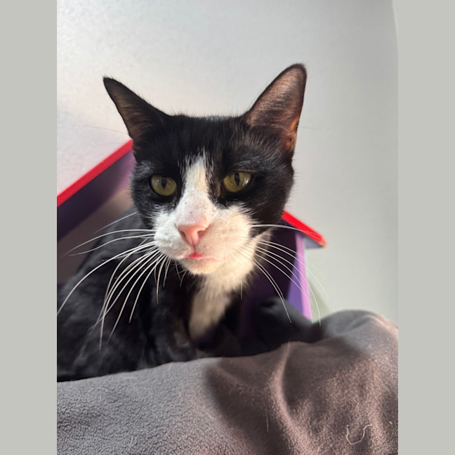 Photo of Pretty Girl