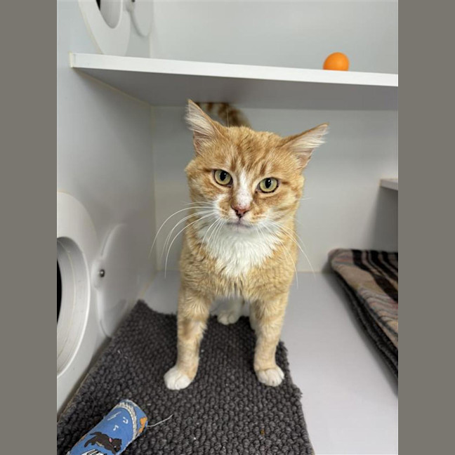 Photo of Mike Wazowski