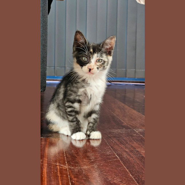Photo of Holly