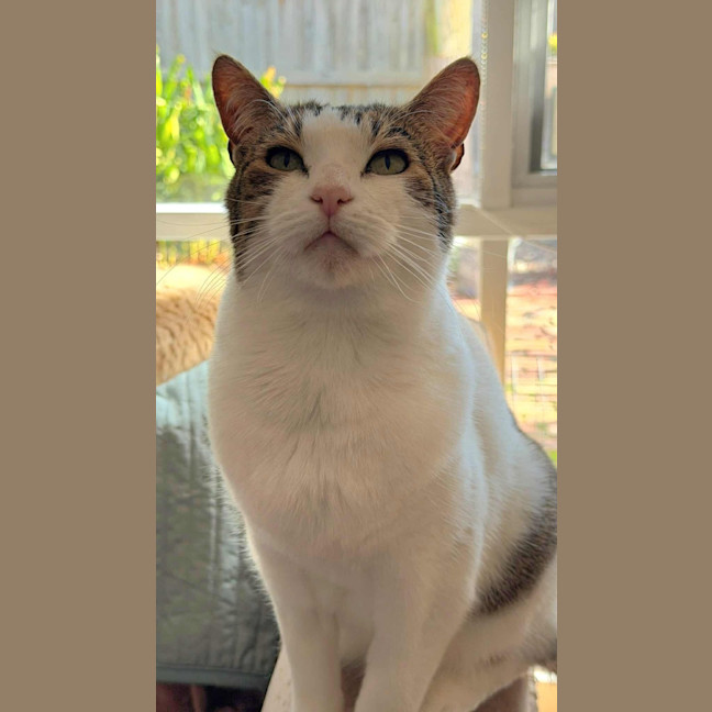 Photo of Jimmy! ❤️ 