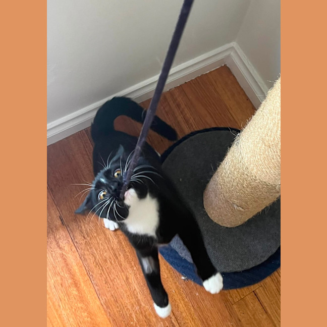 Photo of Luna 