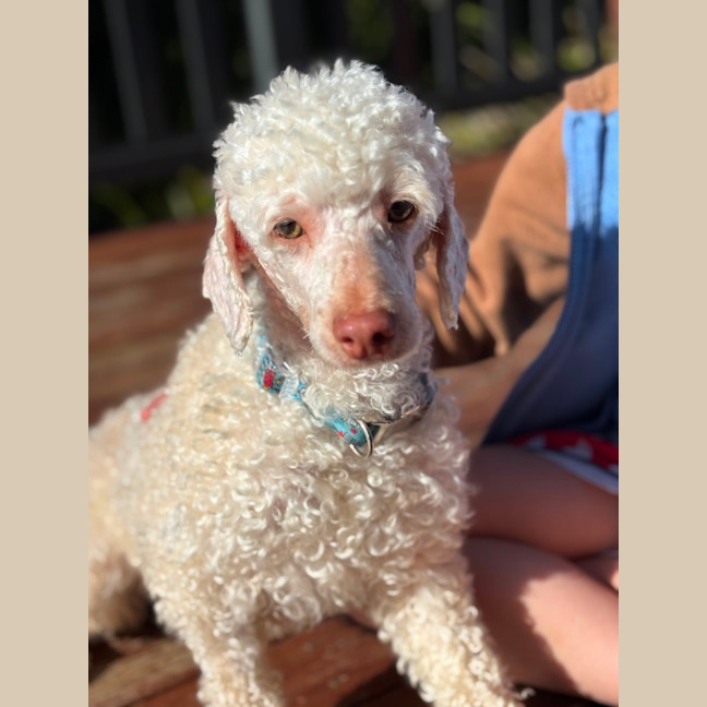 Photo of Winny