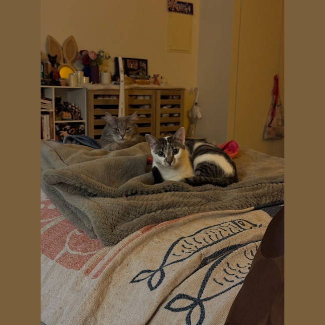 Photo of Nugget Scott