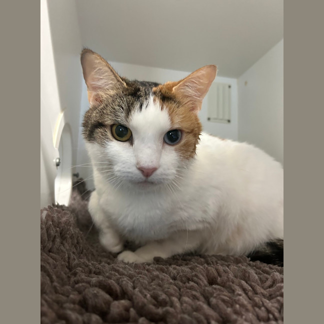 Photo of Zoe