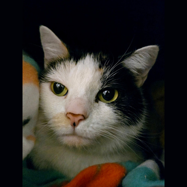 Photo of Mae