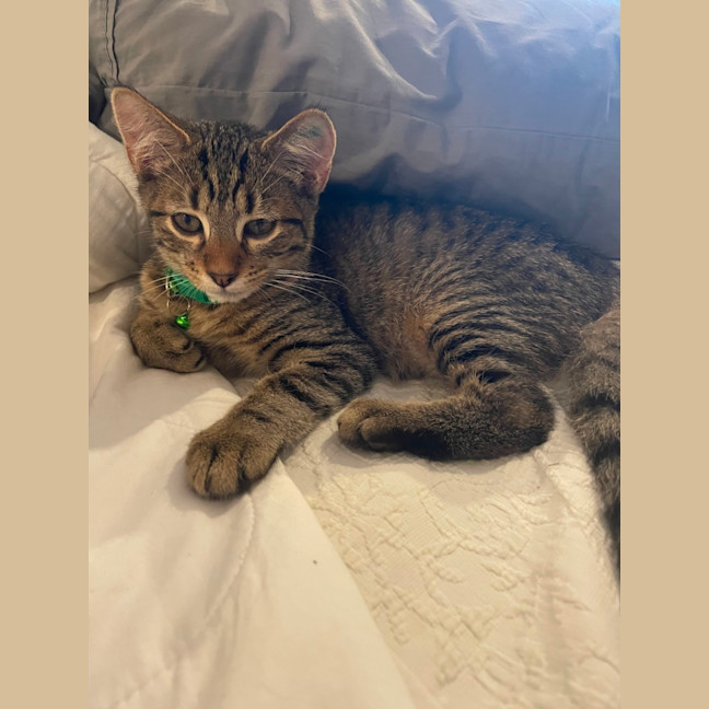 Photo of Finn