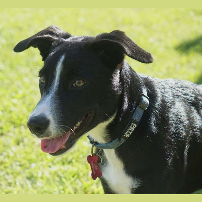 Photo of Freya