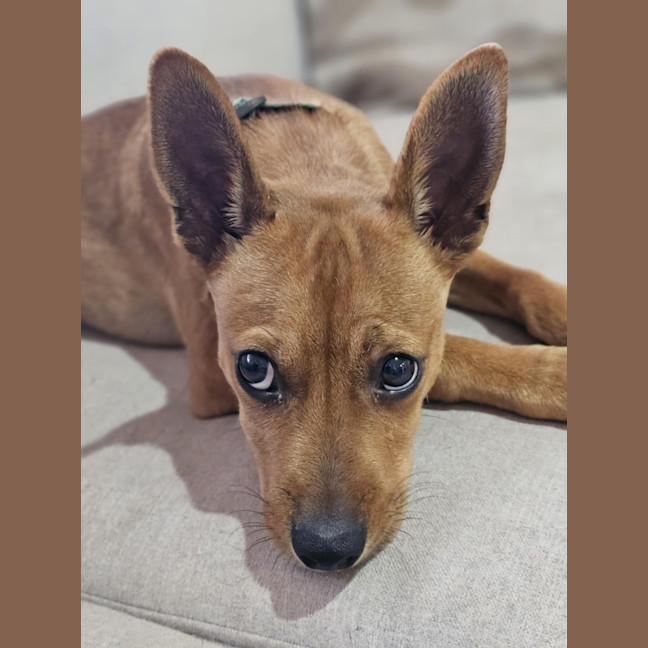 Photo of Skittles