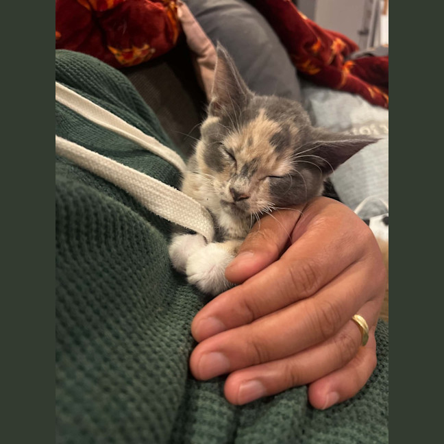 Photo of Smoochie