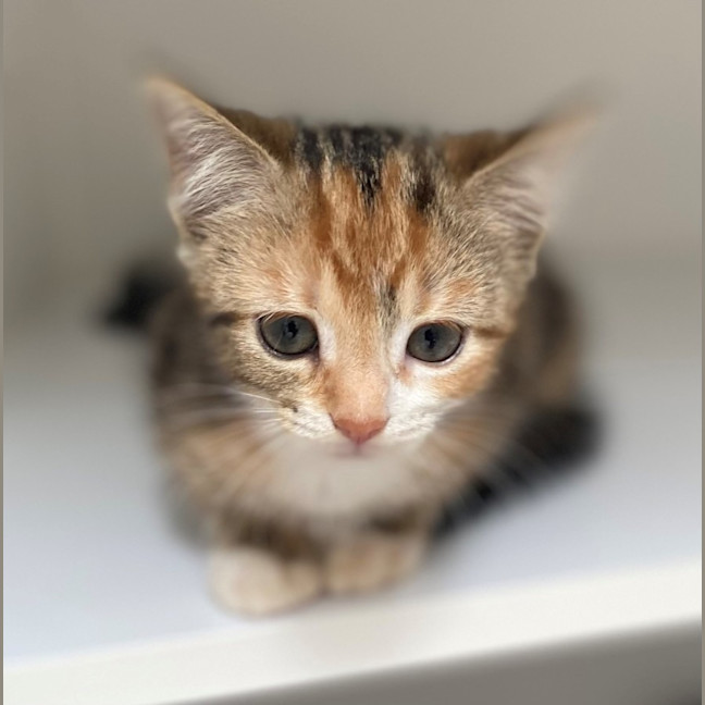 Photo of Helsinki (9961)