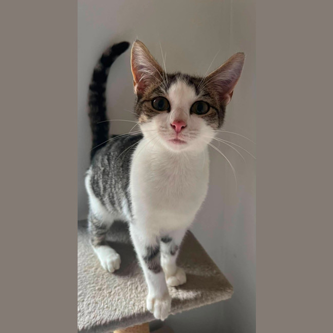 Photo of Claude