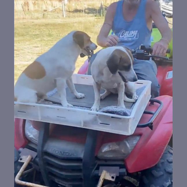 Photo of Turbo And Mazie