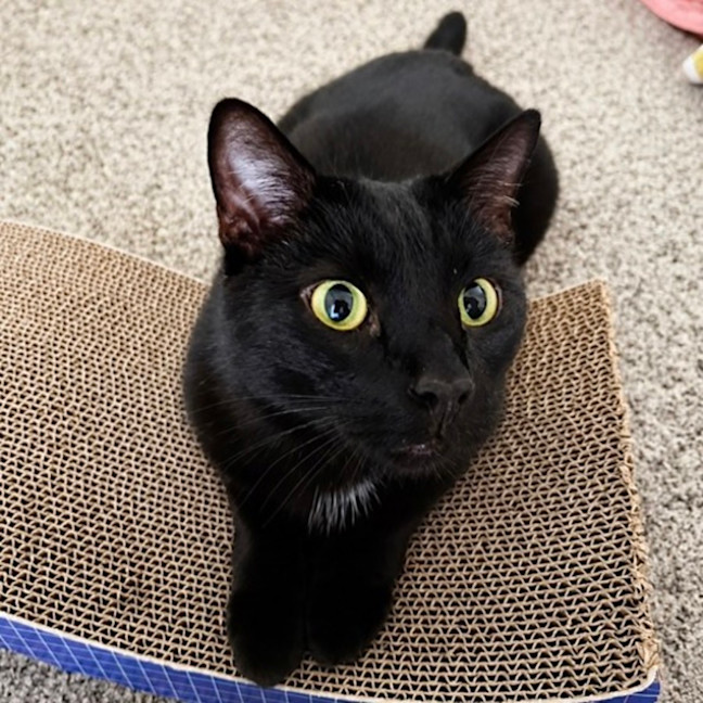 Photo of Phineas