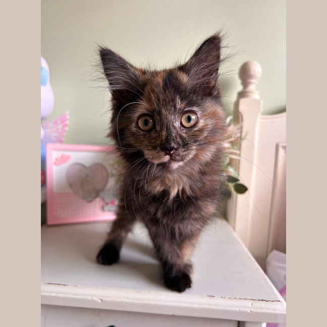 Photo of Peggy