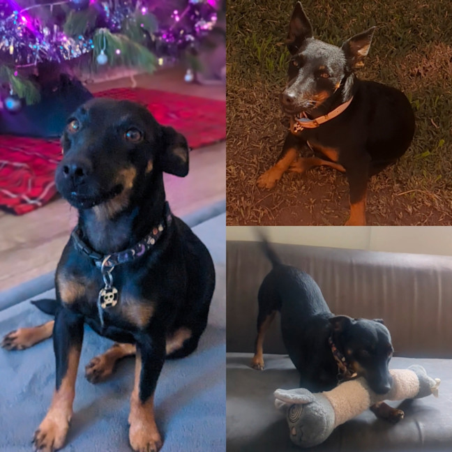 Photo of Winona (Aka Winnie) 