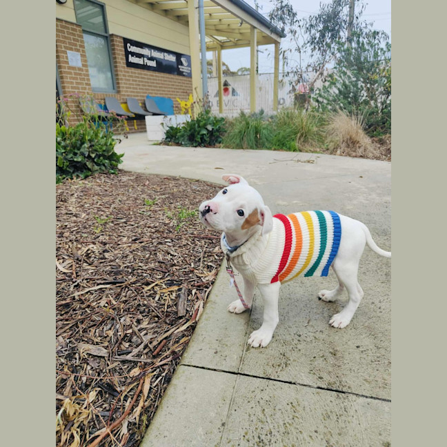 Photo of 🍦 Froyo 6378 🍦 