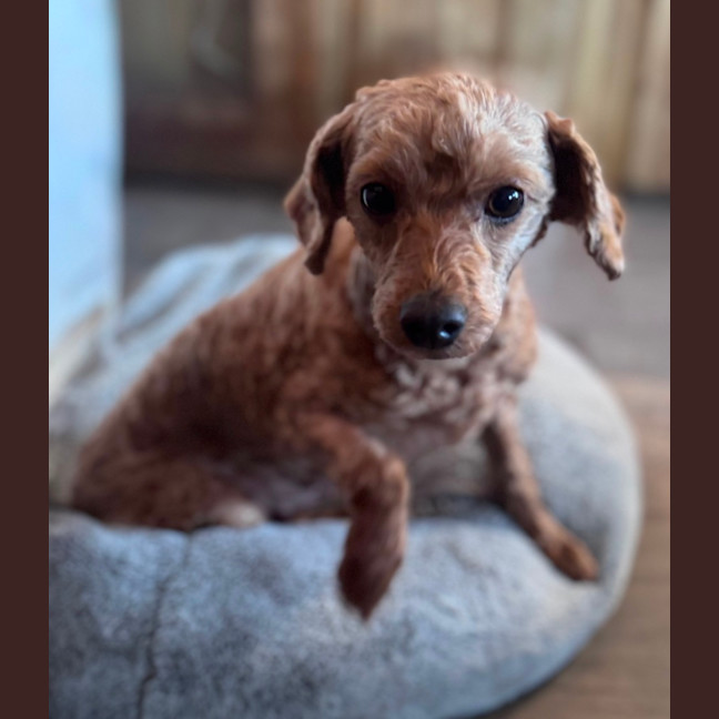 Photo of Charlie