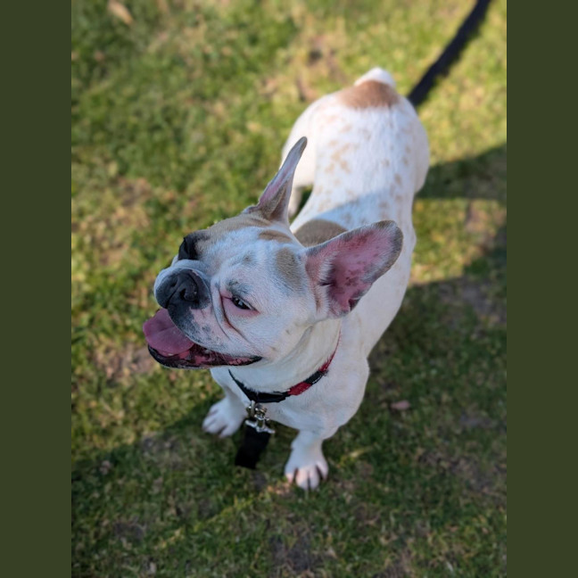 Photo of Bonnie
