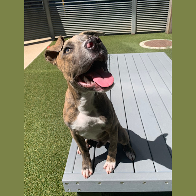 Photo of Kid (Now Tokyo)