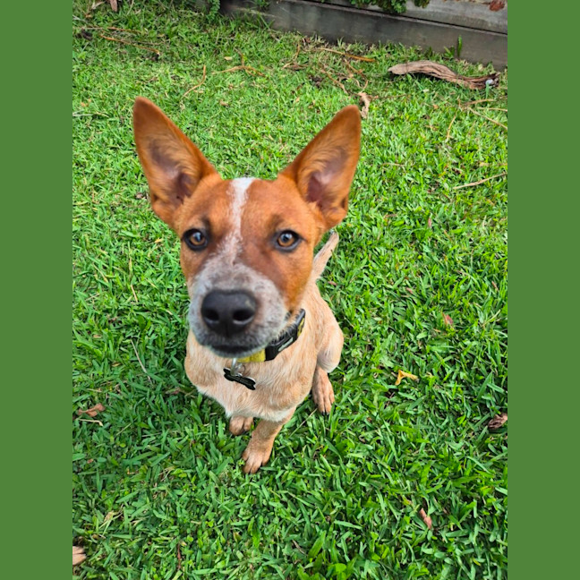 Photo of Winifred