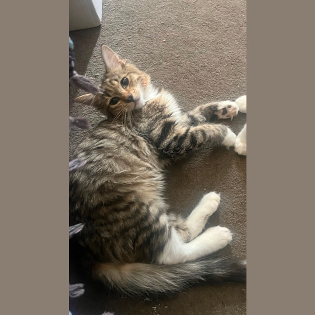 Photo of Ned & Clyde