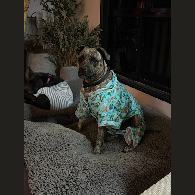 Photo of Leia