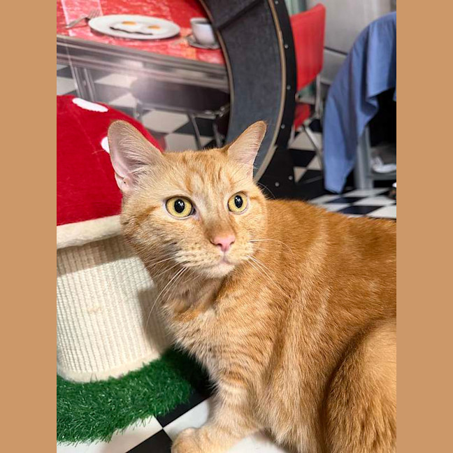 Photo of Bert