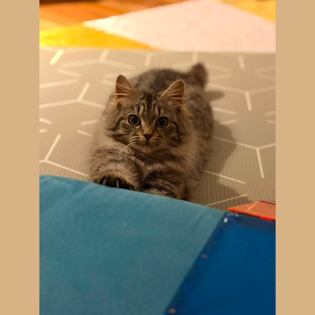Photo of Charlie