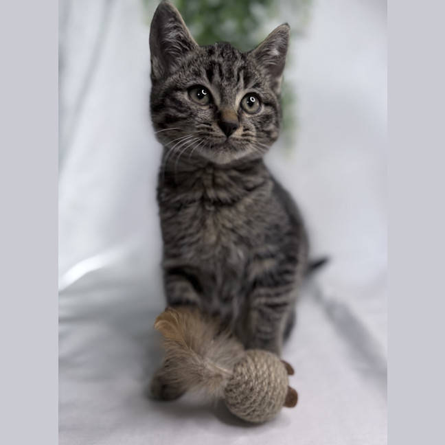 Photo of Chayce