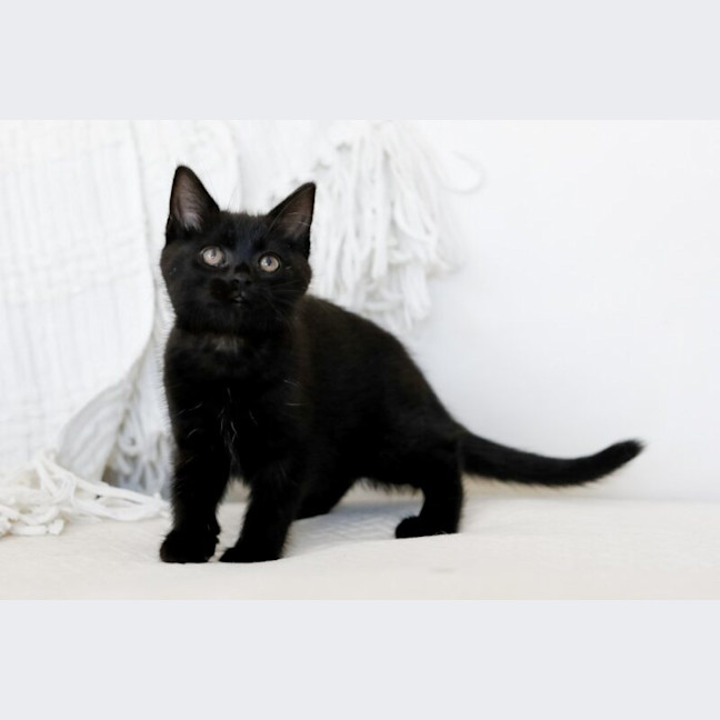 Photo of Nellie