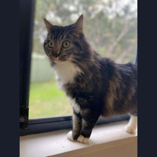 Photo of Mister