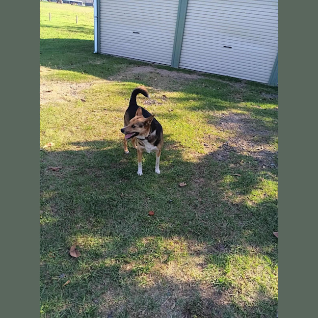 Photo of Leia