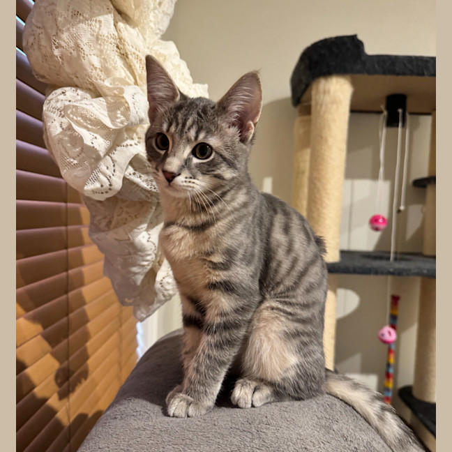 Photo of Freddie Aka Freaking Freddie