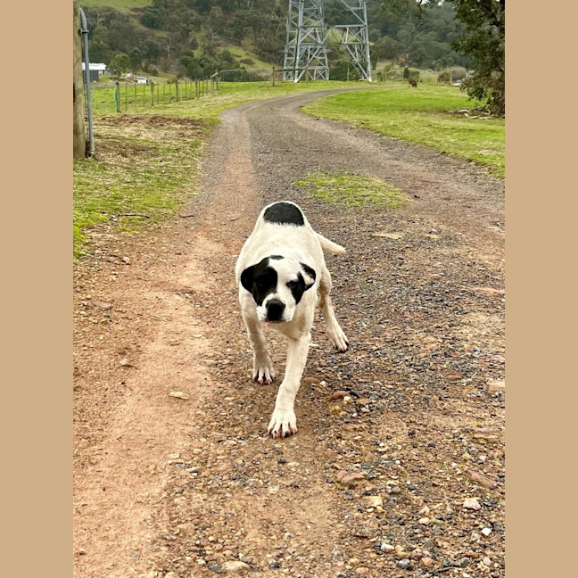 Photo of Ramona