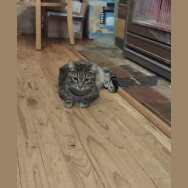 Photo of Lex 