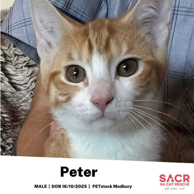 Photo of Peter