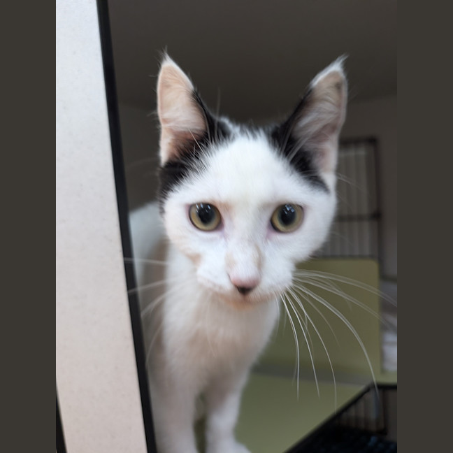 Photo of Missy