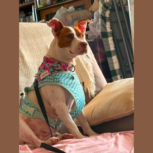 Photo of Mia