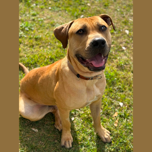 Photo of Tookie (9950)