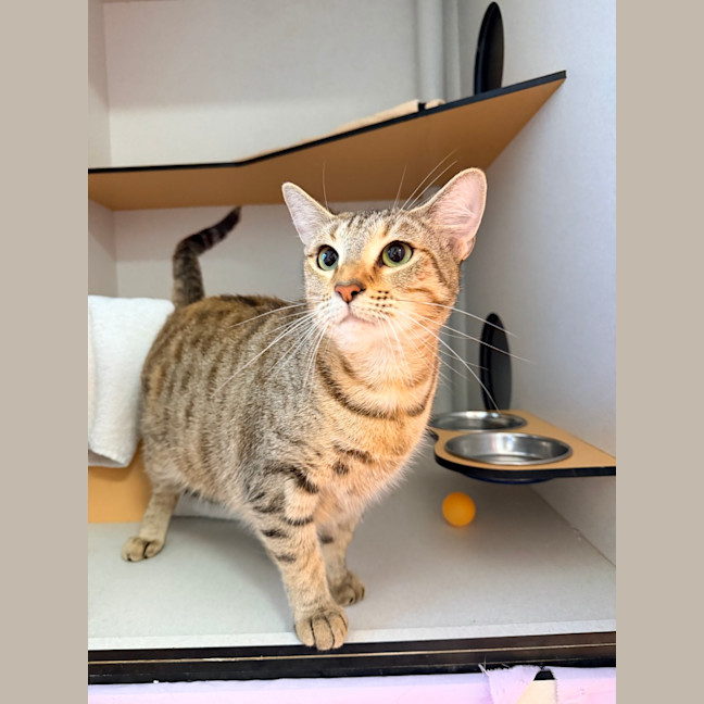 Photo of Spice
