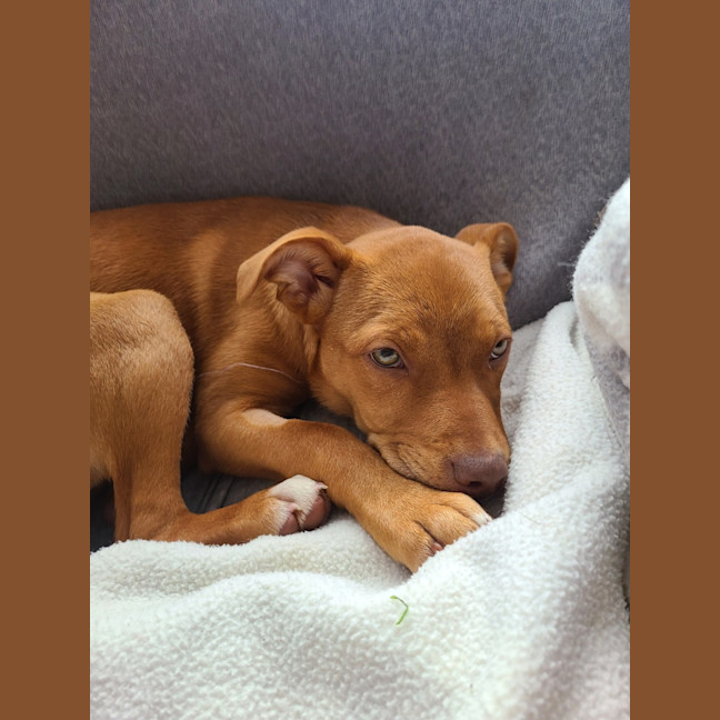 Photo of Mellyjane