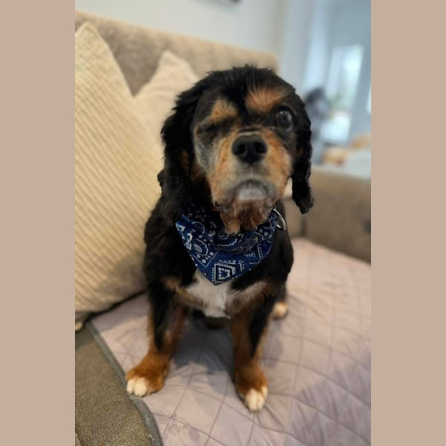 Photo of Marvin