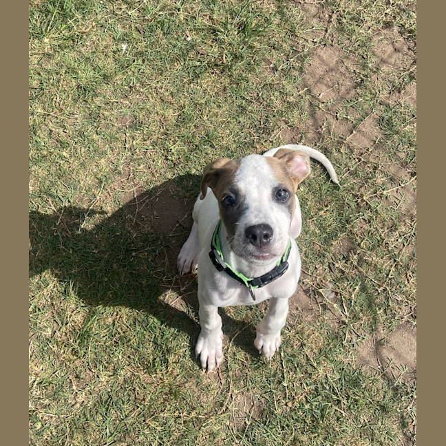 Photo of Annie