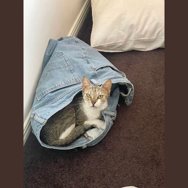 Photo of Ally Mc Beal