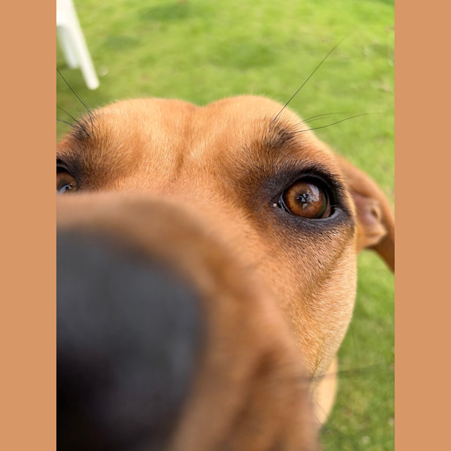 Photo of Reggie
