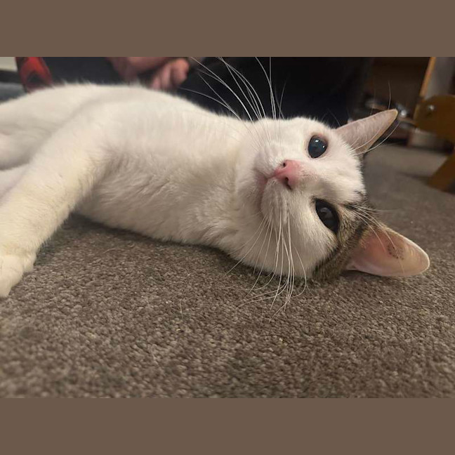 Photo of Smoosh