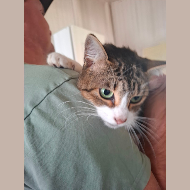 Photo of Squeak