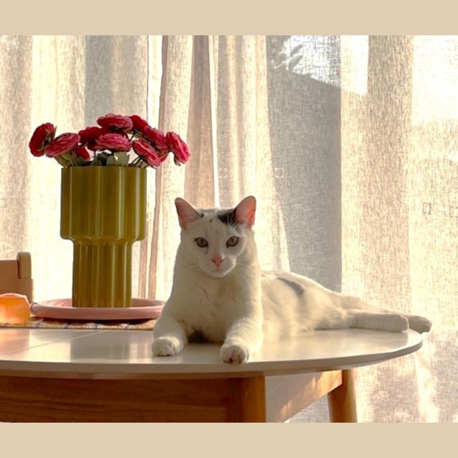 Photo of Earl Grey 